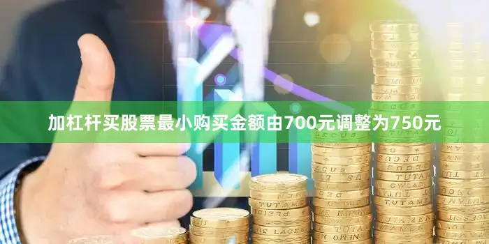 加杠杆买股票最小购买金额由700元调整为750元
